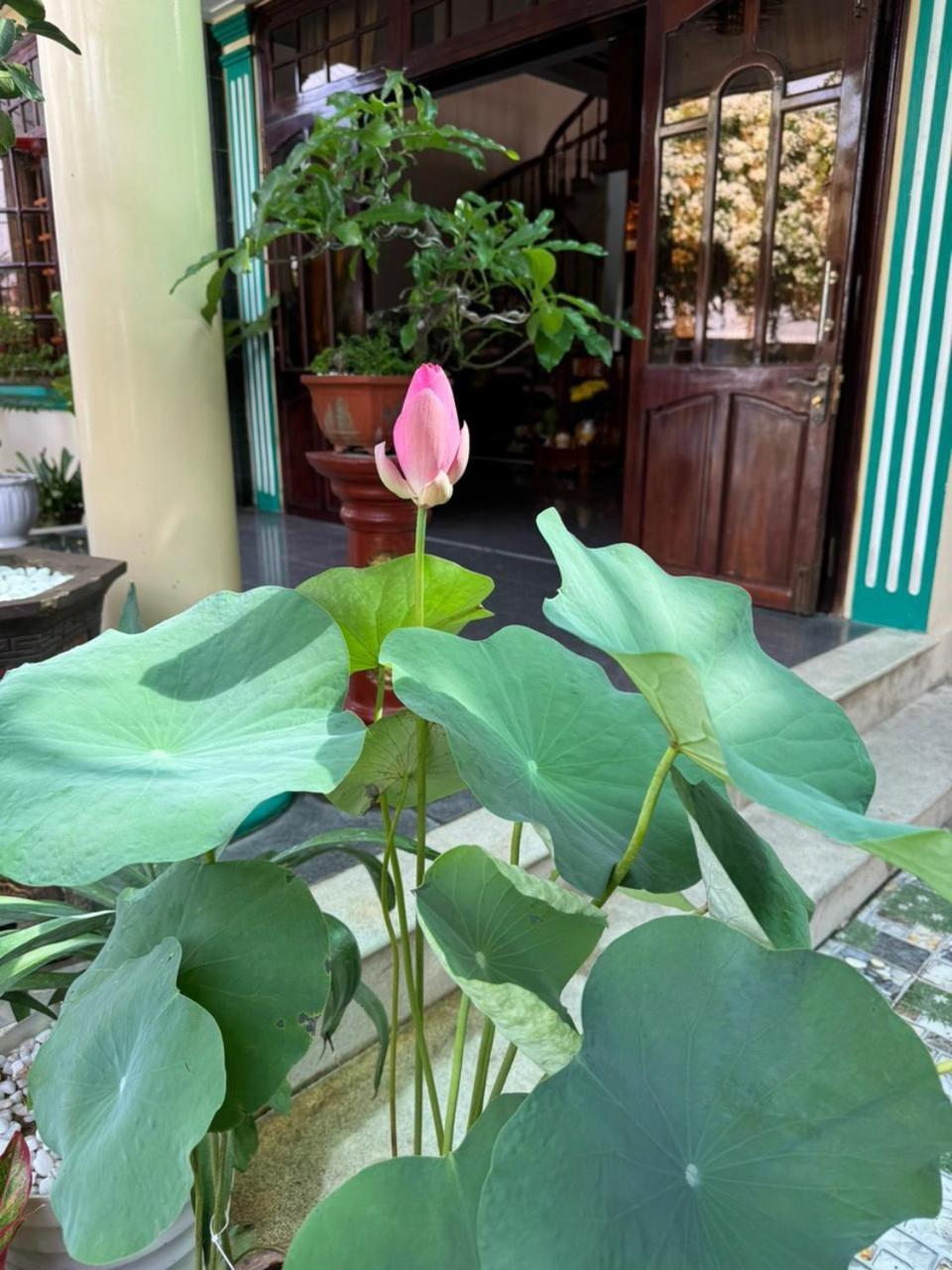 Noel Homestay Tuy Hoa Εξωτερικό φωτογραφία